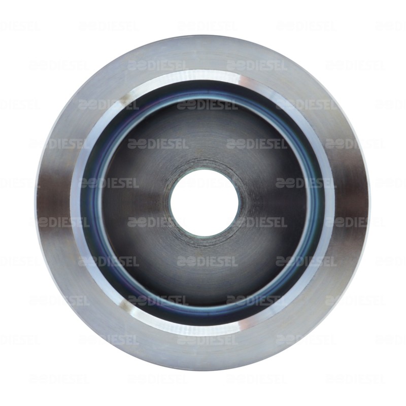 POLEA 3" 10R  APLICA 9419  2448165