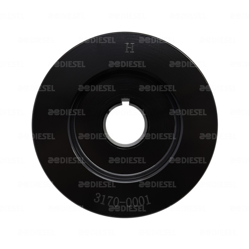 POLEA 2 BANDAS 90MM AVI168W AVI168W3171