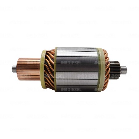 ARMADURA 12V 39MT 61007734