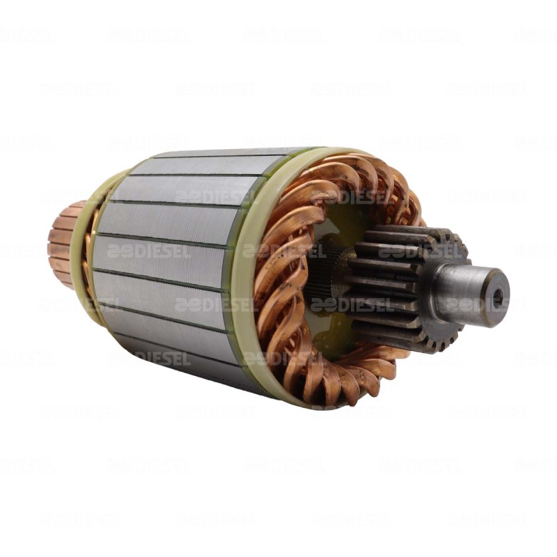 ARMADURA 12V 39MT 61007734