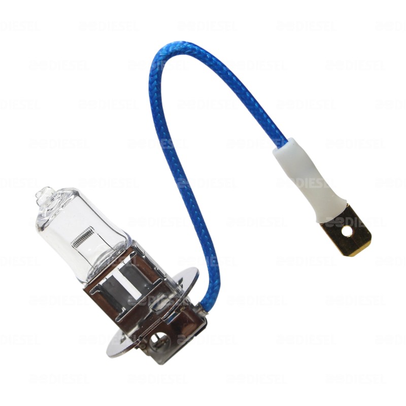 FOCO H3 12V 55W PK22S