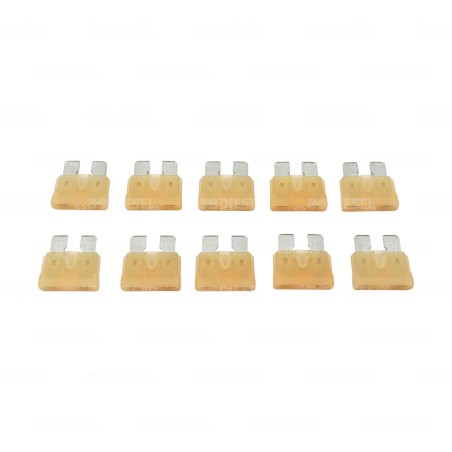 FUSIBLE 25A CLAVIJA CLARO KIT 10PZAS