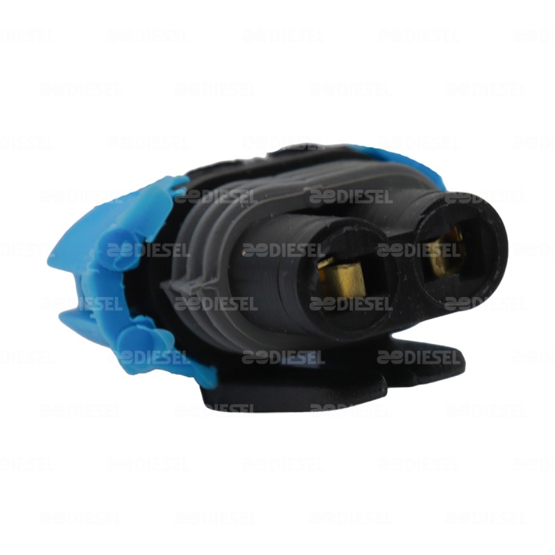 SOCKET 2 POLOS 121060025