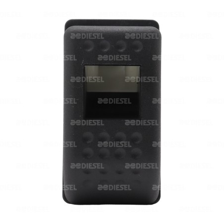 INTERRUPTOR 1 PASO 2 TERMINALES 007832027