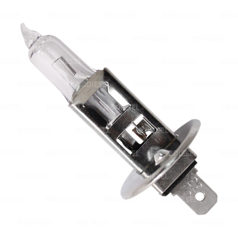 FOCO H1 12V 55W 12258