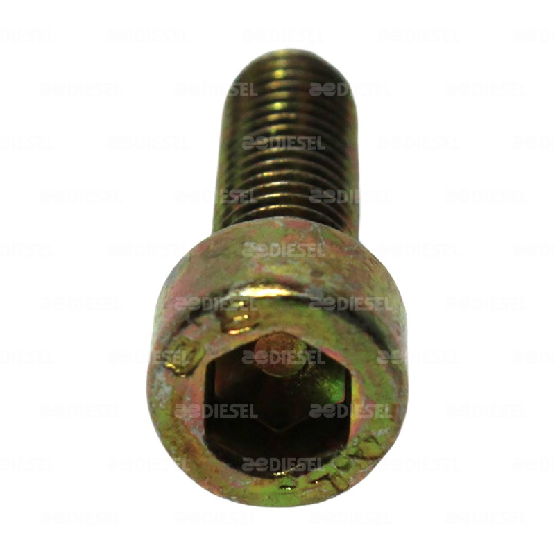 TORNILLO M6x20Galv 50011