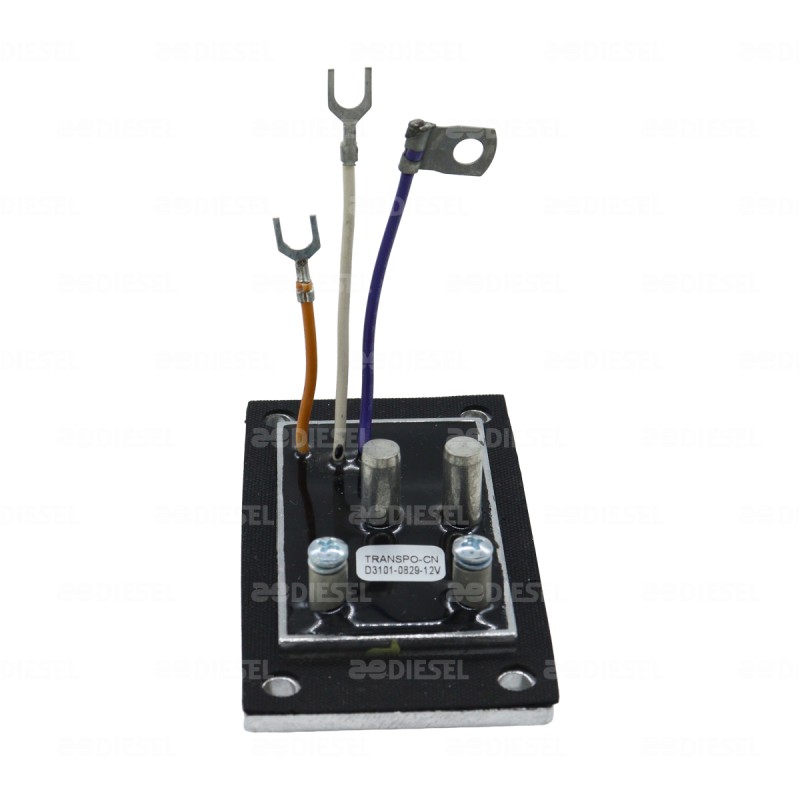 REGULADOR 12V 31SI 160A/200A 19020401 TRANSPO