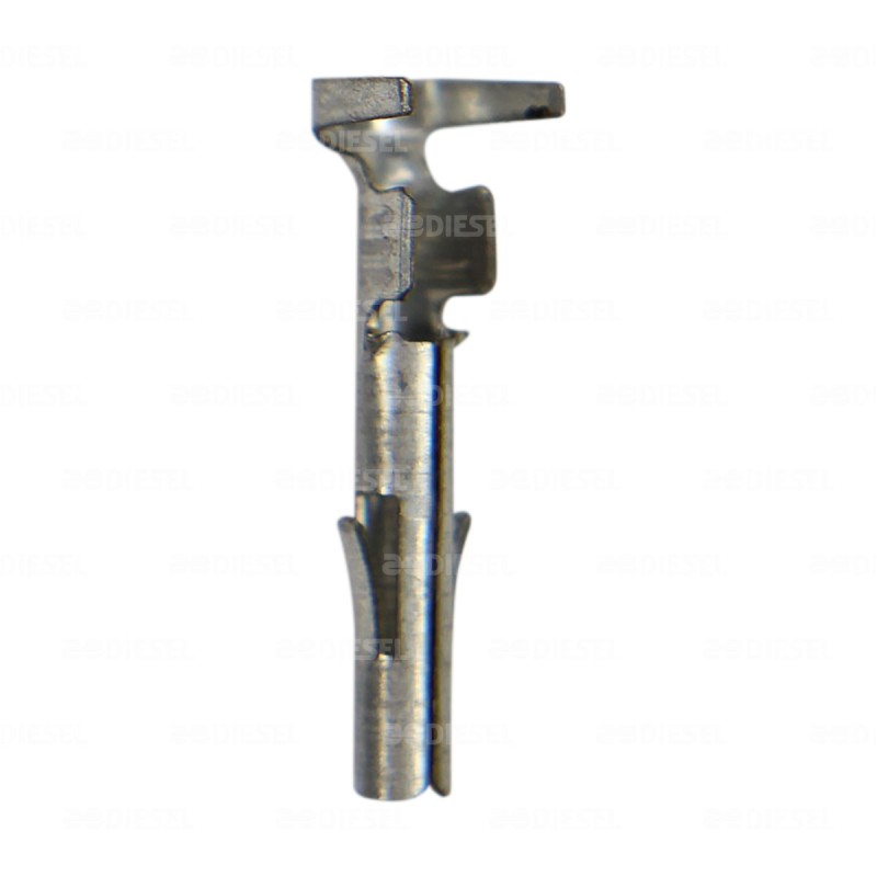 TERMINAL HEMBRA CAL 20 14(checar obs)