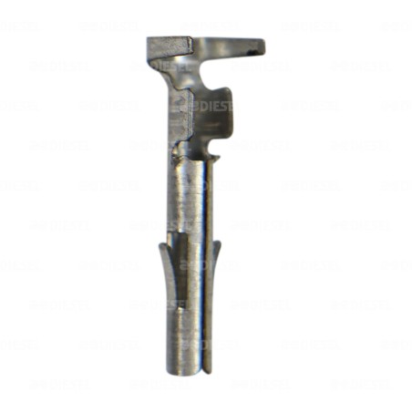 TERMINAL HEMBRA CAL 20 14(checar obs)