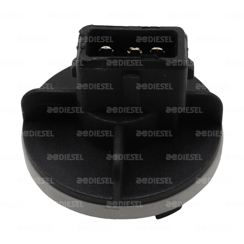 SOCKET 2 POLOS 1034 NEGRO