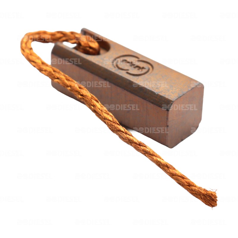 CARBÓN PARA MOTOR IRIZAR # 8100229MX