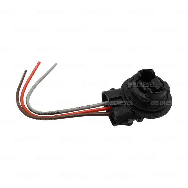 SOCKET 2 POLOS PELLIZCO FOCO 3157