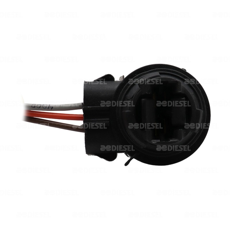 SOCKET 2 POLOS PELLIZCO FOCO 3157