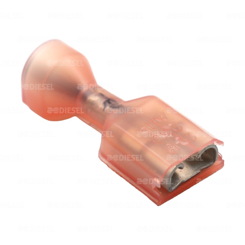 TERMINAL HEMBRA 250 ROJA FORRADA AMP