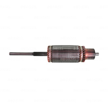 ARMADURA 42MT 24V A/CAMBIO